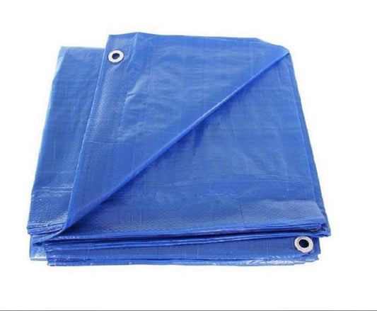 Blue economy 6 mil poly tarp with reinforced edges and grommets