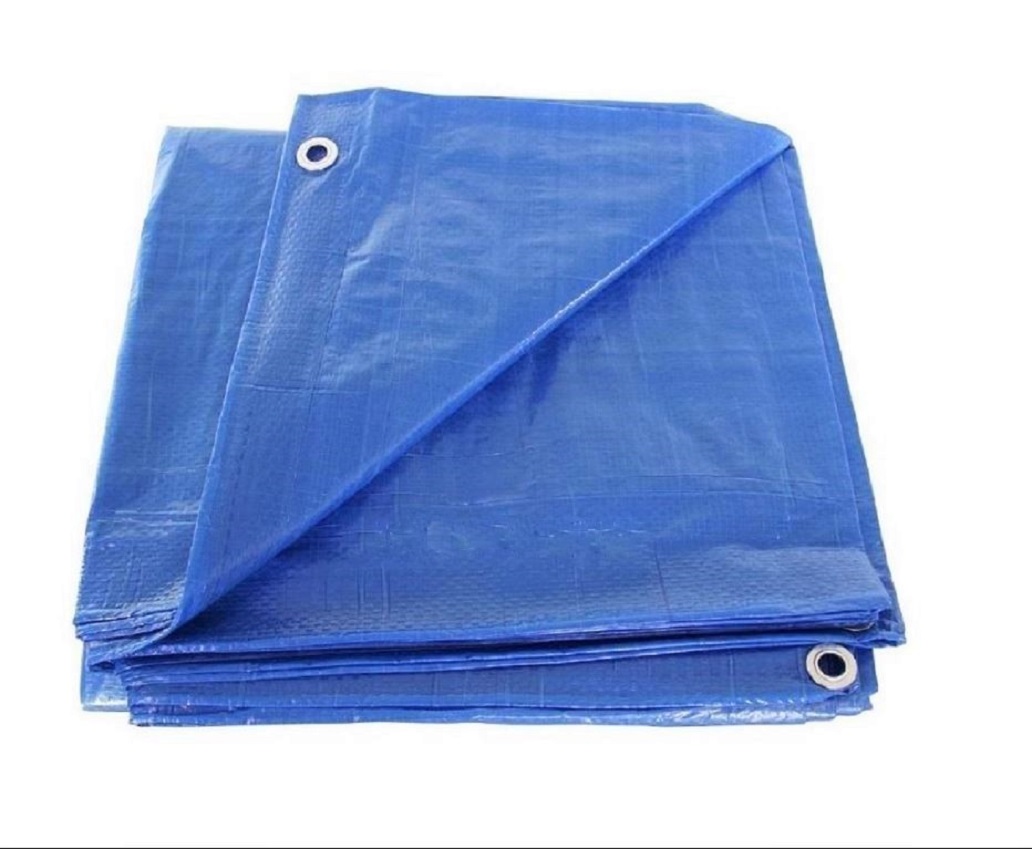 20' x 50' BLUE ECONOMY TARP w/Grommets